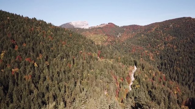 Vol au dessus des sapins en Chartreuse