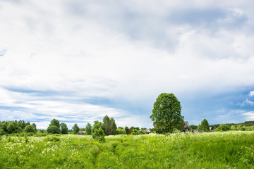 Landscape with a dead village Burdovo.