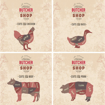 Cuts of beef, pork, chicken, duck. Butcher shop retro poster scheme and diagram - beef, pork, chicken, duck. Vintage hand drawn vector Illustration