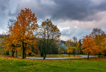 yellow trees along the mountain road in autumn. beautiful nature scenery with cloudy evening sky