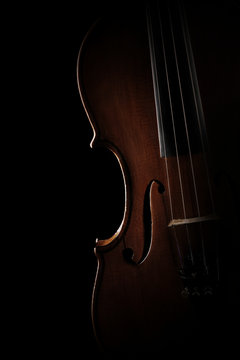 Violin closeup Music instrument orchestra violin close up