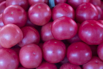 Pink tomatoes harvest. many pink tomatoes. Tomatoes. Tomato background.
