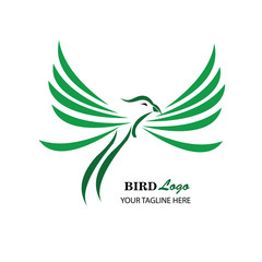 Bird Logo Vector Illustration