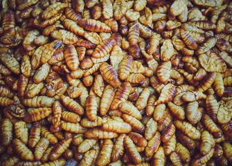 Silk worm background, Thailand edible roasted food in Thailand.