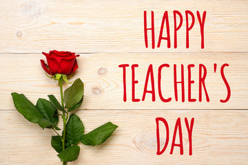 happy teacher's day, red rose on white planks