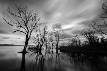 Long exposure view of a lake, with skeletal trees, still water and moving clouds