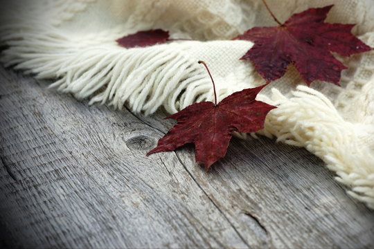 Autumn composition. Leaves on a warm white plaid on an old wooden background.Vintage
