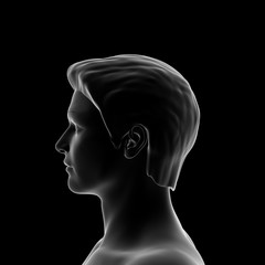 Obraz premium Human Head, Man