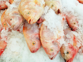 pink Ruby fish with ice in supermarket for sale