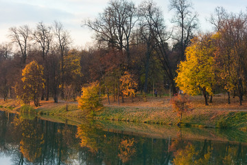 Bright autumn landscape with park and water pond in the evening. Nature falling background