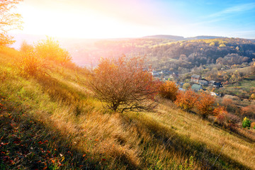 View on the beautiful colorful autumn landscape of the hills with trees and greenfields in the countryside