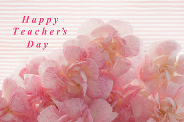 World Teacher’s Day. 5 October. Bouquet of pink Carnation on striped background with text. Greeting Card.