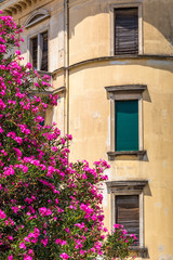 Fototapeta na wymiar Historic facade of an old house with flowers, Croatia, Europe.