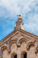 A seagull standing on the top of a historic building of the Croatian town Zadar, Europe.