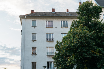 old building at prenzlauer berg next to an big tree