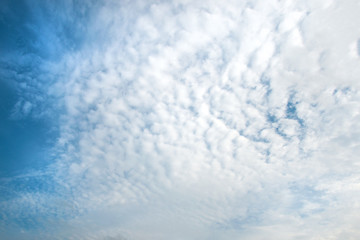 Cirrus clouds (background, texture)