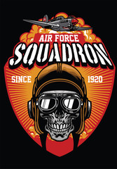 pilot air force squadron