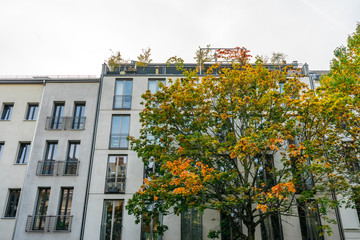 modern apartment house with colorful autumn tree