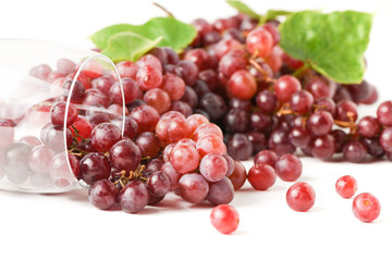 Champagne Grapes and wine glass isolated