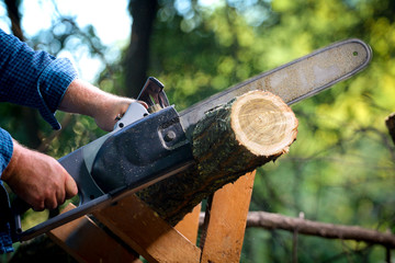 Man with chainsaw cutting the tree