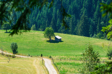 Fototapeta premium Mountain Zlatar