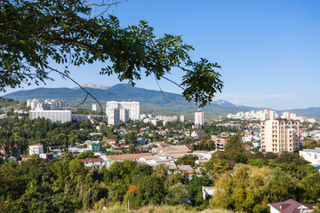 Obraz premium green tree branch and above view of Alushta city
