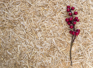 Naklejka premium Boughs of holly