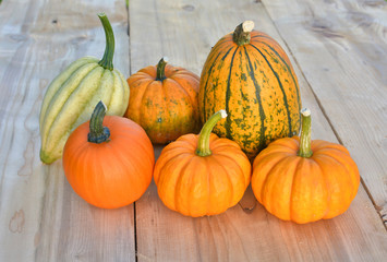 Group of pumpkins and squashes