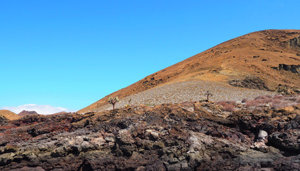 Genovesa - Galapagos Islands, Ecuador