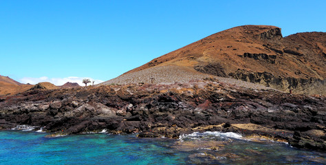 Fototapeta na wymiar Genovesa - Galapagos Islands, Ecuador