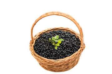 Fototapeta na wymiar blueberry in a basket isolated