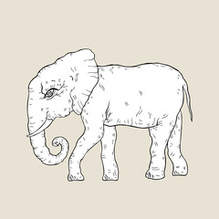 Elephant. Vector illustration