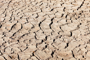 Earth cracked by drought.