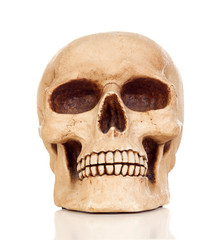 Obraz premium Creepy human skull