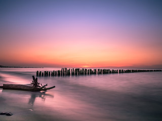 Sonnenuntergang Ostsee mit Wurzel