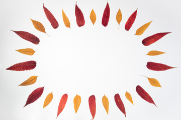 Autumn composition. Frame of autumn leaves. Autumn background. Top view. Flat lay, copy space