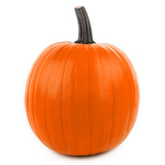 One orange pumpkin