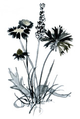 Beautiful watercolor flower