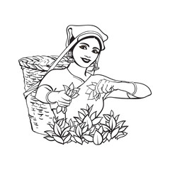 vector sketch cartoon indian Sri-lanka local woman collecting tea in tradition way smiling in big wicker basket. Traditionally dressed female character, hand drawn sri-lanka , india symbols
