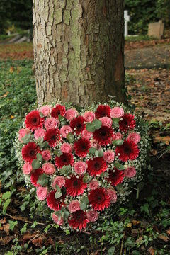 Sympathy flowers near a tree