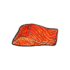 vector sketch cartoon style sea red salmon fish meat fillet steak without skin. Isolated illustration on a white background. Seafood delicacy, restaurant menu decoration design object concept