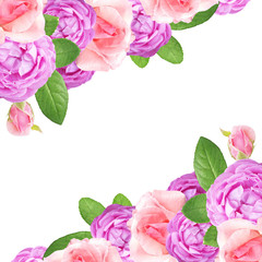 Beautiful floral background of roses 