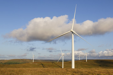 Five Wind Turbines in the Welsh countryside 