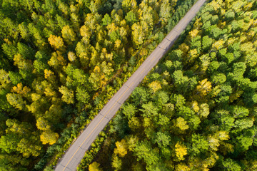 Fototapeta premium aerial shot of trail in colorful autumn forest