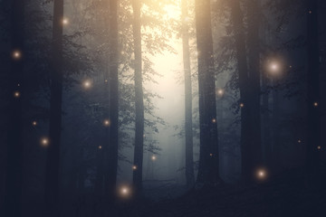 Naklejka premium magiczny las z błyszczy o zachodzie słońca