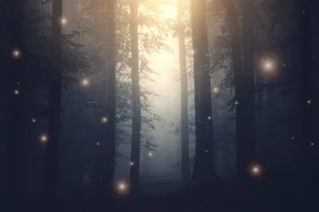 Gordijnen magisch bos met glitters bij zonsondergang © andreiuc88