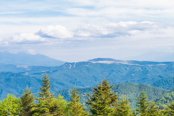 Obraz premium Beautiful landscape view of Utsukushigahara park with blue sky background is one of the most important and popular natural place in Nagano Prefecture , Japan.