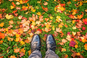 Looking down at shoes, colorful autumnal leaves on the ground , autumn concept