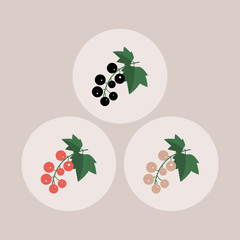 A set of three icons of black currant. Vector illustration