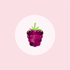 Single image of a blackberry. Vector illustration